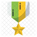 Distintivo De Estrela Distintivo Medalha De Honra Ícone