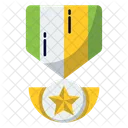 Distintivo De Estrela Distintivo Medalha De Honra Ícone