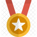 Distintivo De Estrela Conquista Premio Ícone