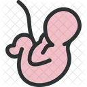 Embrión  Icono