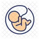 Embryo Umbilical Embryo Baby Embryo Icon