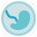 Embryo  Symbol