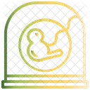 Embryo  Icon