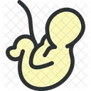 Embryo Baby Biology Icon