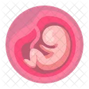 Embryo Baby Medical Icon