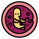 Embryo Pregnancy Biology Icon