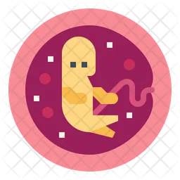 Embryo  Icon