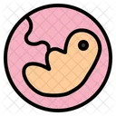 Embryo Baby Biology Medical Pregnancy Icon