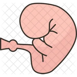 Embryo  Icon