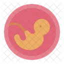 Embryo Healthcare Medical Icon