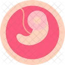 Embryo Icon