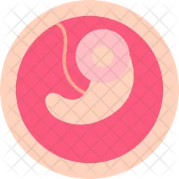 Embryo  Icon