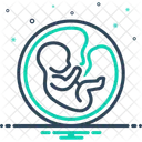 Embryo Postnatal Zygote Icon