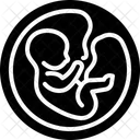 Embryo Postnatal Zygote Icon