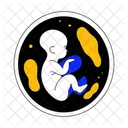 Embryo Fetus Baby Icon