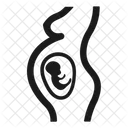Embryo Fetus Pregnancy Icon
