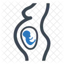 Embryo Fetus Pregnancy Icon