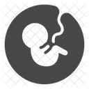 Life Cycle Life Growth Icon