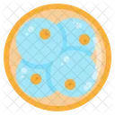 Biology Science Education Icon