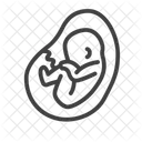 Embryo Motherhood Fetal Icon