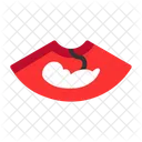 Embryo  Icon