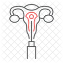 Embryo  Icon