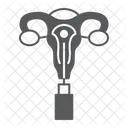 Embryo  Icon