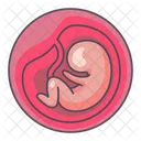 Embryo  Icon