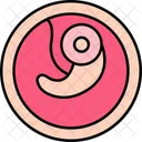 Embryo Medical Anatomy Icon