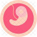 Embryo Icon