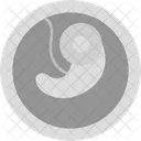 Embryo Icon