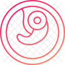 Embryo Icon