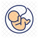 Embryo Umbilical Embryo Baby Embryo Icon