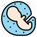 Embryologie  Symbol