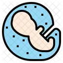 Embryology Embryo Fetus Icon