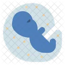 Embryology Embryo Fetus Icon
