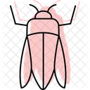 Emeraldborer Insect Invasive Icon