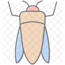 Emeraldborer Insect Invasive Icon