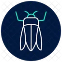Emeraldborer Insect Invasive Icon