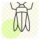 Emeraldborer Insect Invasive Icon