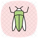 Emeraldborer Insect Invasive Icon