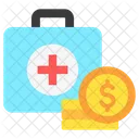 Emergency fund  Icon