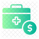 Emergency funds  Icon