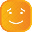 Face Smiley Emoji Icon