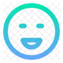 Emoji Big Smile Expression Sad Icon