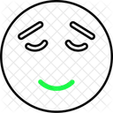 Emoji Emoticon Emoticion Icon