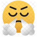 Emoji-mad-unhappy-eye-closed  Icon