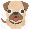 Dog Pet Animal Icon