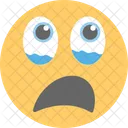 Emoticon sconcertata  Icon