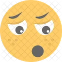 Emoticon sconcertata  Icon